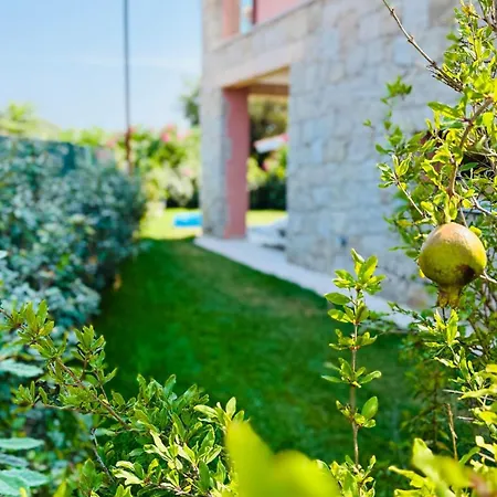 Casa Paradiso La Cinta Сан-Теодоро